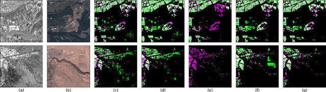 Figure 3 for Investigating Imbalances Between SAR and Optical Utilization for Multi-Modal Urban Mapping