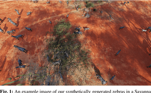 Figure 1 for Synthetic Data-based Detection of Zebras in Drone Imagery