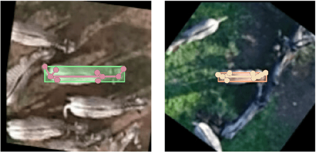 Figure 2 for Synthetic Data-based Detection of Zebras in Drone Imagery