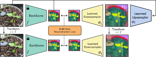 Figure 2 for FeatUp: A Model-Agnostic Framework for Features at Any Resolution