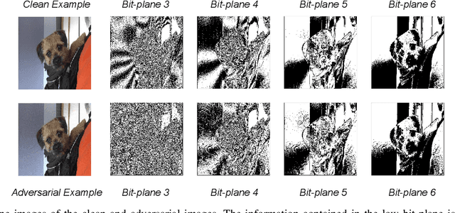 Figure 1 for F$^2$AT: Feature-Focusing Adversarial Training via Disentanglement of Natural and Perturbed Patterns