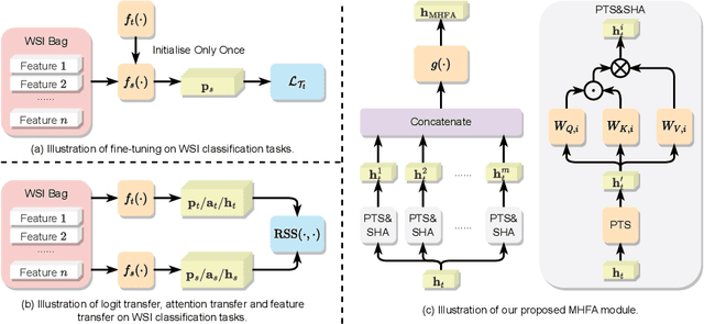 Figure 1 for Knowledge Transfer via Multi-Head Feature Adaptation for Whole Slide Image Classification