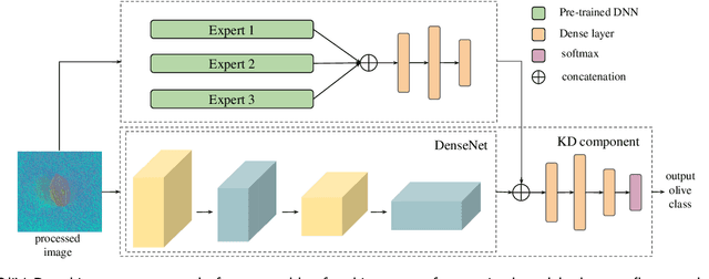 Figure 3 for OliVaR: Improving Olive Variety Recognition using Deep Neural Networks