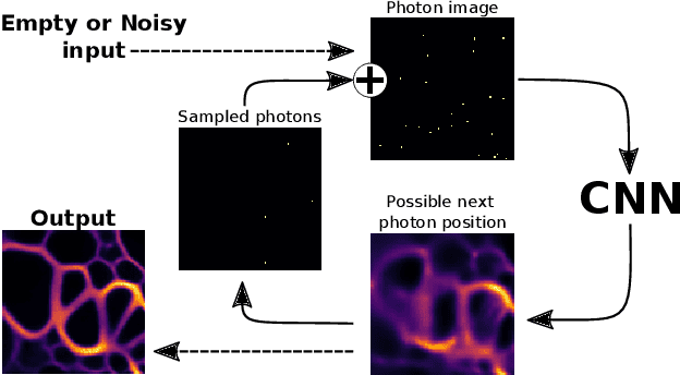 Figure 4 for Image Denoising and the Generative Accumulation of Photons