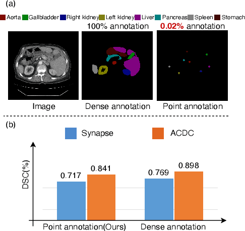 Figure 1 for Annotation by Clicks: A Point-Supervised Contrastive Variance Method for Medical Semantic Segmentation