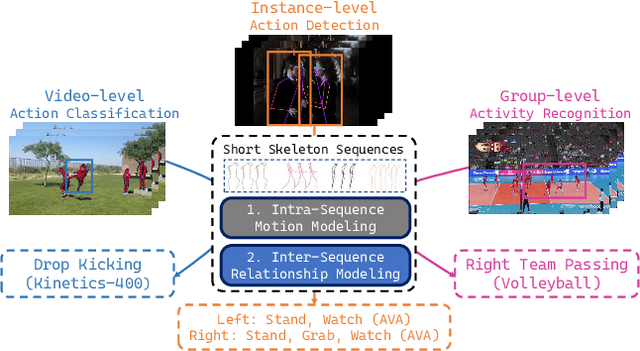 Figure 1 for SkeleTR: Towrads Skeleton-based Action Recognition in the Wild