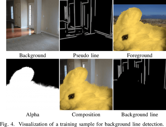 Figure 4 for Learning Multiple Representations with Inconsistency-Guided Detail Regularization for Mask-Guided Matting