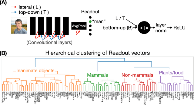 Figure 1 for Characterising representation dynamics in recurrent neural networks for object recognition