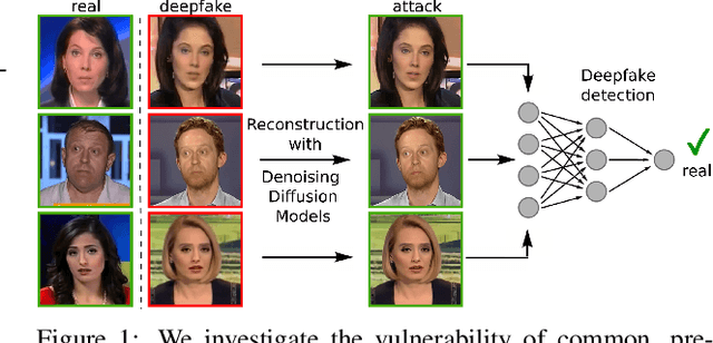 Figure 1 for On the Vulnerability of DeepFake Detectors to Attacks Generated by Denoising Diffusion Models