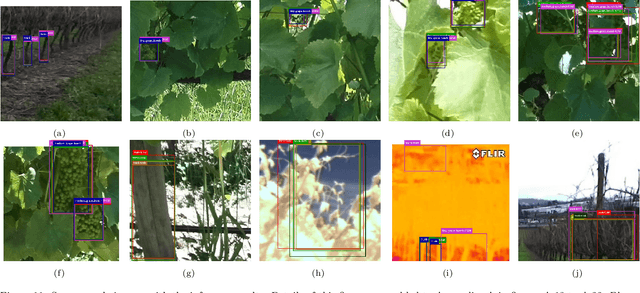 Figure 3 for Benchmarking Edge Computing Devices for Grape Bunches and Trunks Detection using Accelerated Object Detection Single Shot MultiBox Deep Learning Models