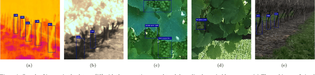 Figure 1 for Benchmarking Edge Computing Devices for Grape Bunches and Trunks Detection using Accelerated Object Detection Single Shot MultiBox Deep Learning Models