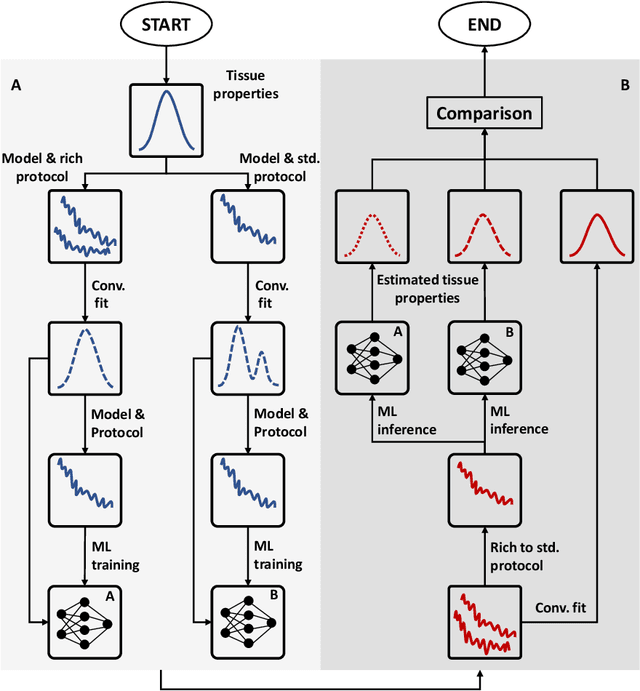 Figure 3 for Resolving quantitative MRI model degeneracy with machine learning via training data distribution design