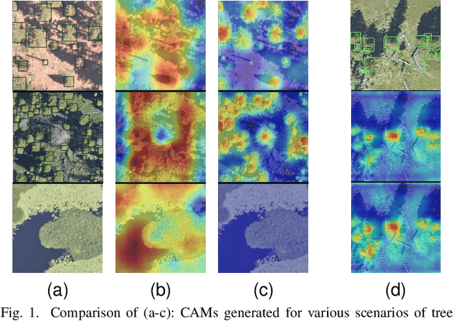 Figure 1 for Crown-CAM: Reliable Visual Explanations for Tree Crown Detection in Aerial Images