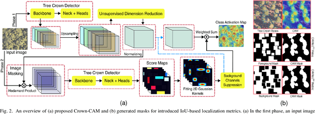 Figure 2 for Crown-CAM: Reliable Visual Explanations for Tree Crown Detection in Aerial Images