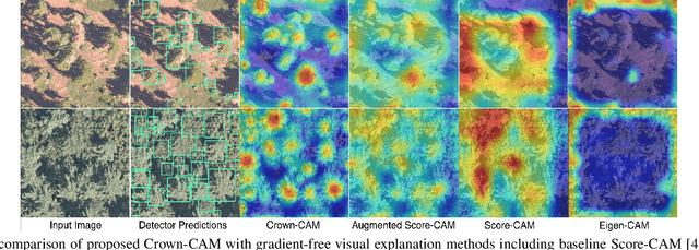 Figure 3 for Crown-CAM: Reliable Visual Explanations for Tree Crown Detection in Aerial Images