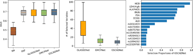 Figure 4 for Sparse-Input Neural Network using Group Concave Regularization