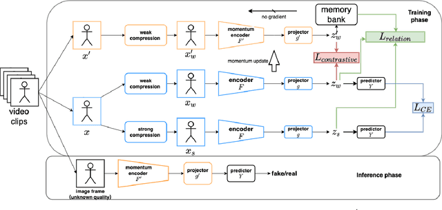 Figure 4 for Anti-Compression Contrastive Facial Forgery Detection