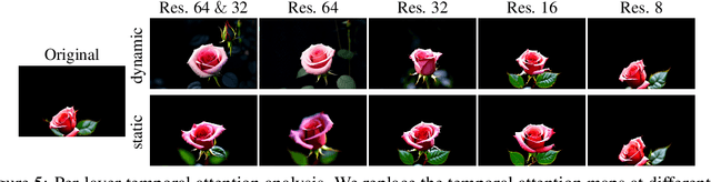 Figure 4 for VSTAR: Generative Temporal Nursing for Longer Dynamic Video Synthesis