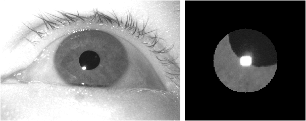 Figure 3 for Precise localization of corneal reflections in eye images using deep learning trained on synthetic data