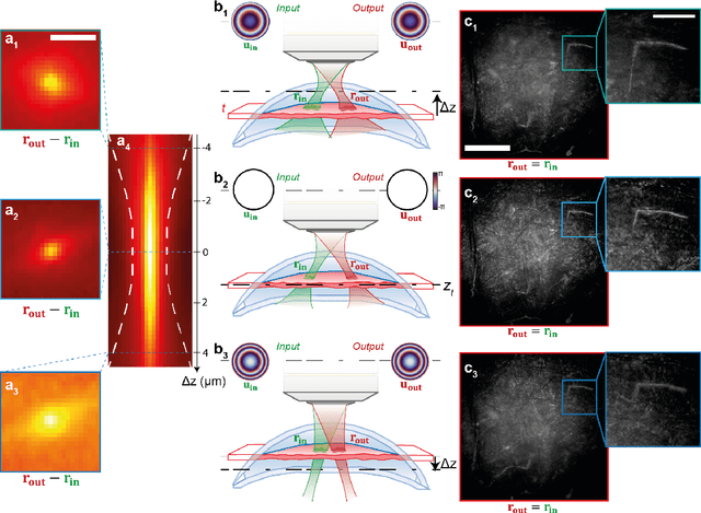 Figure 3 for Multi-Spectral Reflection Matrix for Ultra-Fast 3D Label-Free Microscopy