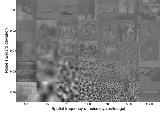 Figure 1 for Spatial-frequency channels, shape bias, and adversarial robustness