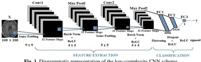 Figure 1 for A convolutional neural network of low complexity for tumor anomaly detection