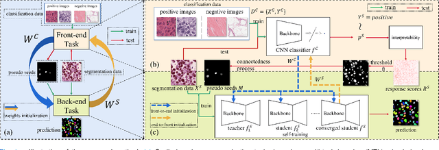Figure 1 for Cyclic Learning: Bridging Image-level Labels and Nuclei Instance Segmentation