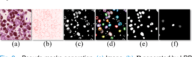 Figure 2 for Cyclic Learning: Bridging Image-level Labels and Nuclei Instance Segmentation