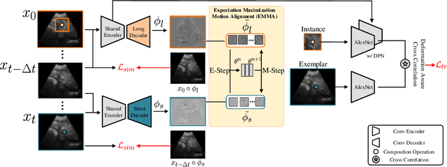 Figure 3 for LSDM: Long-Short Diffeomorphic Motion for Weakly-Supervised Ultrasound Landmark Tracking