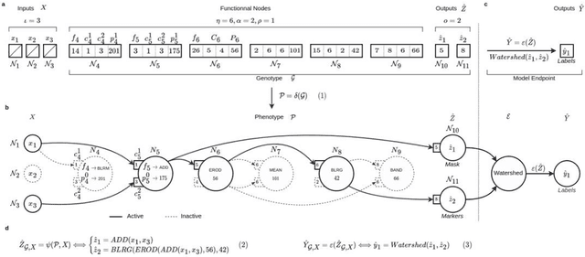 Figure 1 for Kartezio: Evolutionary Design of Explainable Pipelines for Biomedical Image Analysis