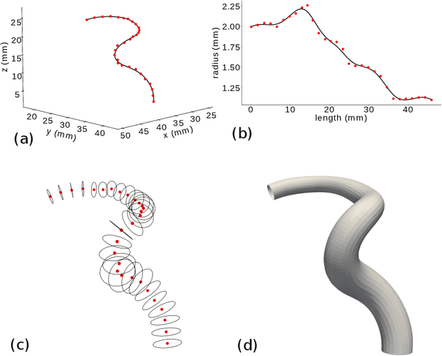 Figure 1 for Modeling and hexahedral meshing of arterial networks from centerlines