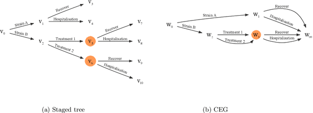 Figure 3 for Beyond Conjugacy for Chain Event Graph Model Selection