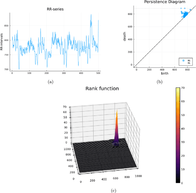 Figure 3 for Computable Stability for Persistence Rank Function Machine Learning