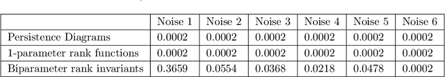 Figure 4 for Computable Stability for Persistence Rank Function Machine Learning