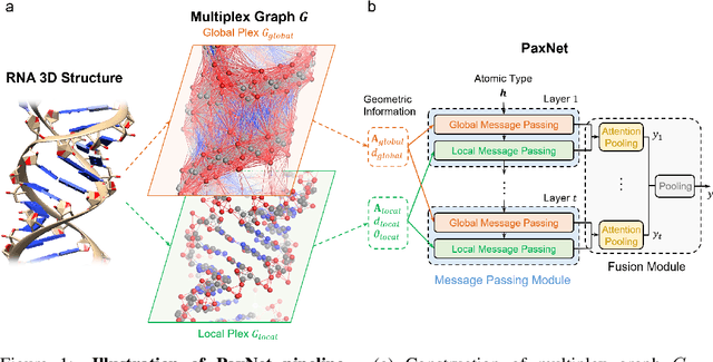 Figure 1 for Physics-aware Graph Neural Network for Accurate RNA 3D Structure Prediction