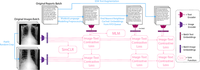 Figure 3 for Vision-Language Modelling For Radiological Imaging and Reports In The Low Data Regime