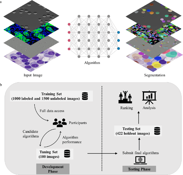 Figure 1 for The Multi-modality Cell Segmentation Challenge: Towards Universal Solutions