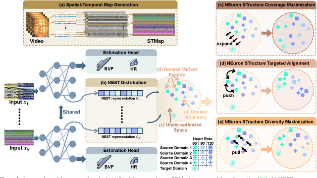 Figure 3 for Neuron Structure Modeling for Generalizable Remote Physiological Measurement