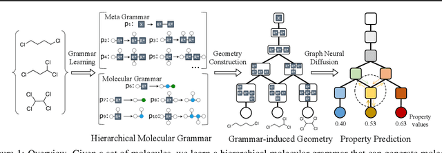 Figure 1 for Hierarchical Grammar-Induced Geometry for Data-Efficient Molecular Property Prediction