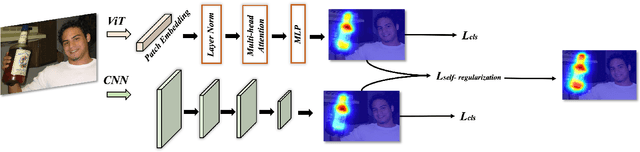 Figure 2 for Dual-Augmented Transformer Network for Weakly Supervised Semantic Segmentation