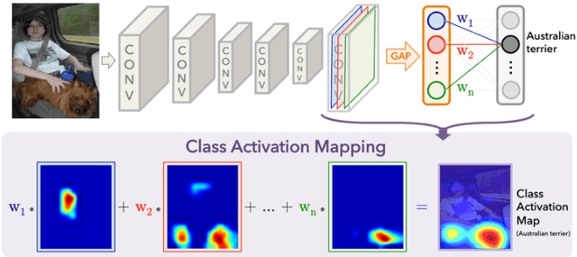 Figure 1 for Overview of Class Activation Maps for Visualization Explainability