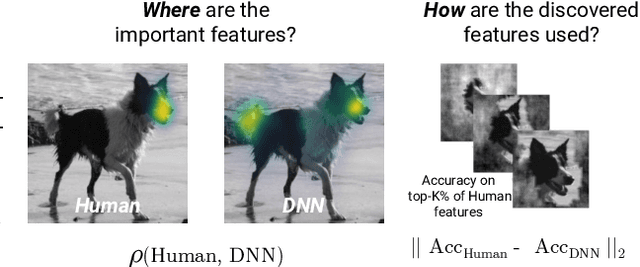Figure 1 for Harmonizing the object recognition strategies of deep neural networks with humans