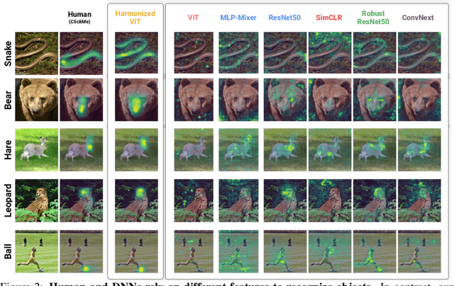 Figure 2 for Harmonizing the object recognition strategies of deep neural networks with humans