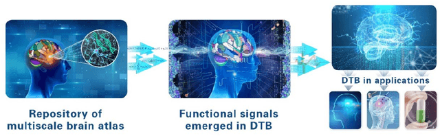 Figure 1 for Digital twin brain: a bridge between biological intelligence and artificial intelligence