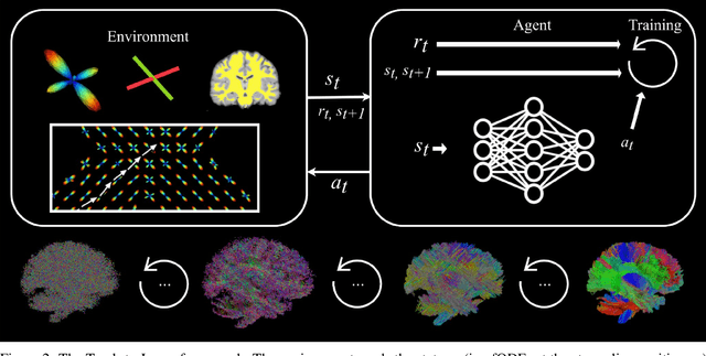 Figure 3 for What Matters in Reinforcement Learning for Tractography
