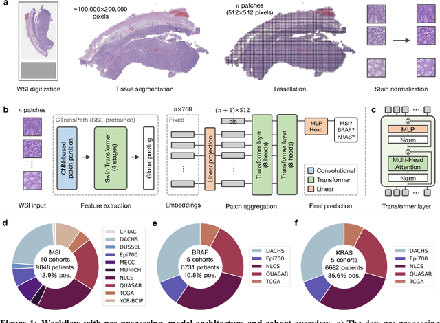 Figure 1 for Fully transformer-based biomarker prediction from colorectal cancer histology: a large-scale multicentric study