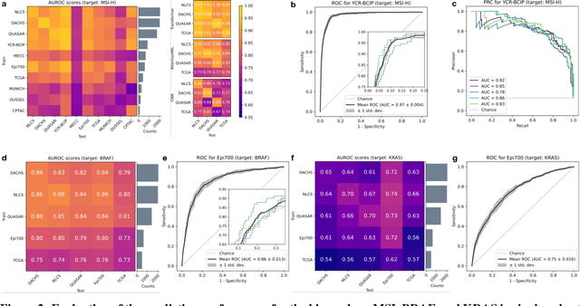 Figure 2 for Fully transformer-based biomarker prediction from colorectal cancer histology: a large-scale multicentric study
