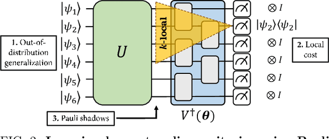 Figure 2 for The power and limitations of learning quantum dynamics incoherently