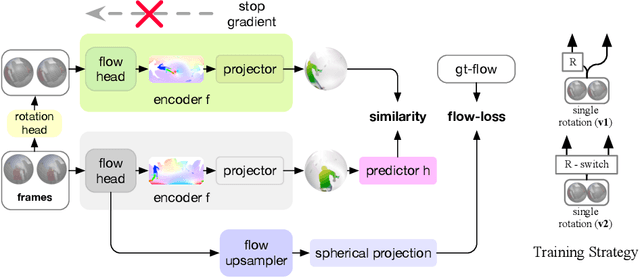 Figure 1 for Learning Omnidirectional Flow in 360-degree Video via Siamese Representation