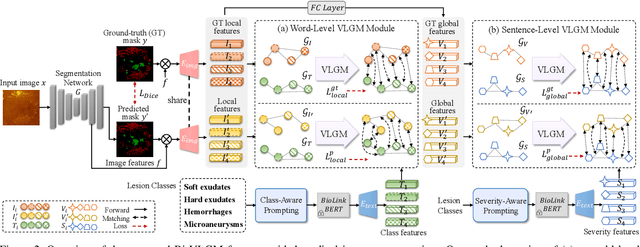 Figure 3 for Bi-VLGM : Bi-Level Class-Severity-Aware Vision-Language Graph Matching for Text Guided Medical Image Segmentation